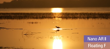 Siluettikuva rantalinnusta, joka seisoo tyynessä vesistössä kultaisen auringonlaskun aikaan.