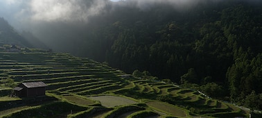 Esimerkkivalokuvia sinisestä taivaasta ja vuoristossa sijaitsevista riisipelloista.