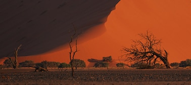 Esimerkki maisemakuvasta, jossa näkyy kukkulan huippu punaisella aavikolla